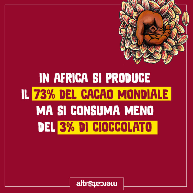 Cacao africano