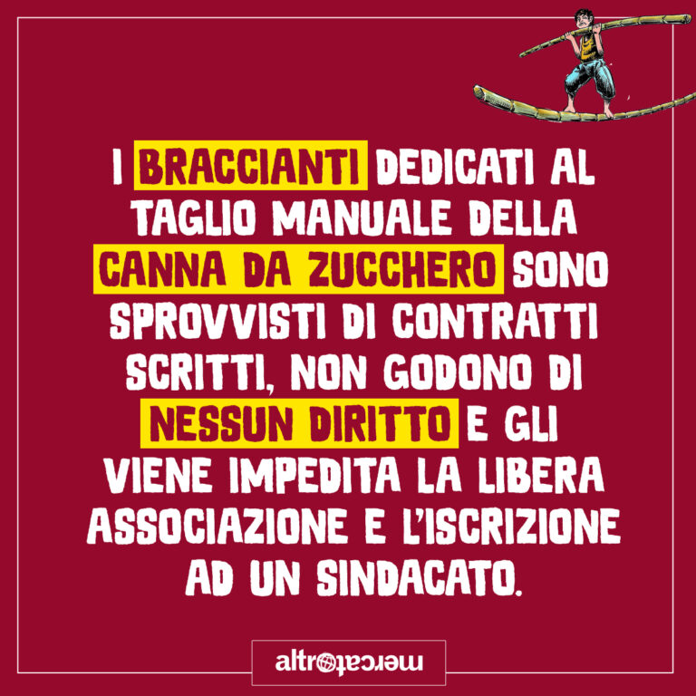 braccianti zucchero